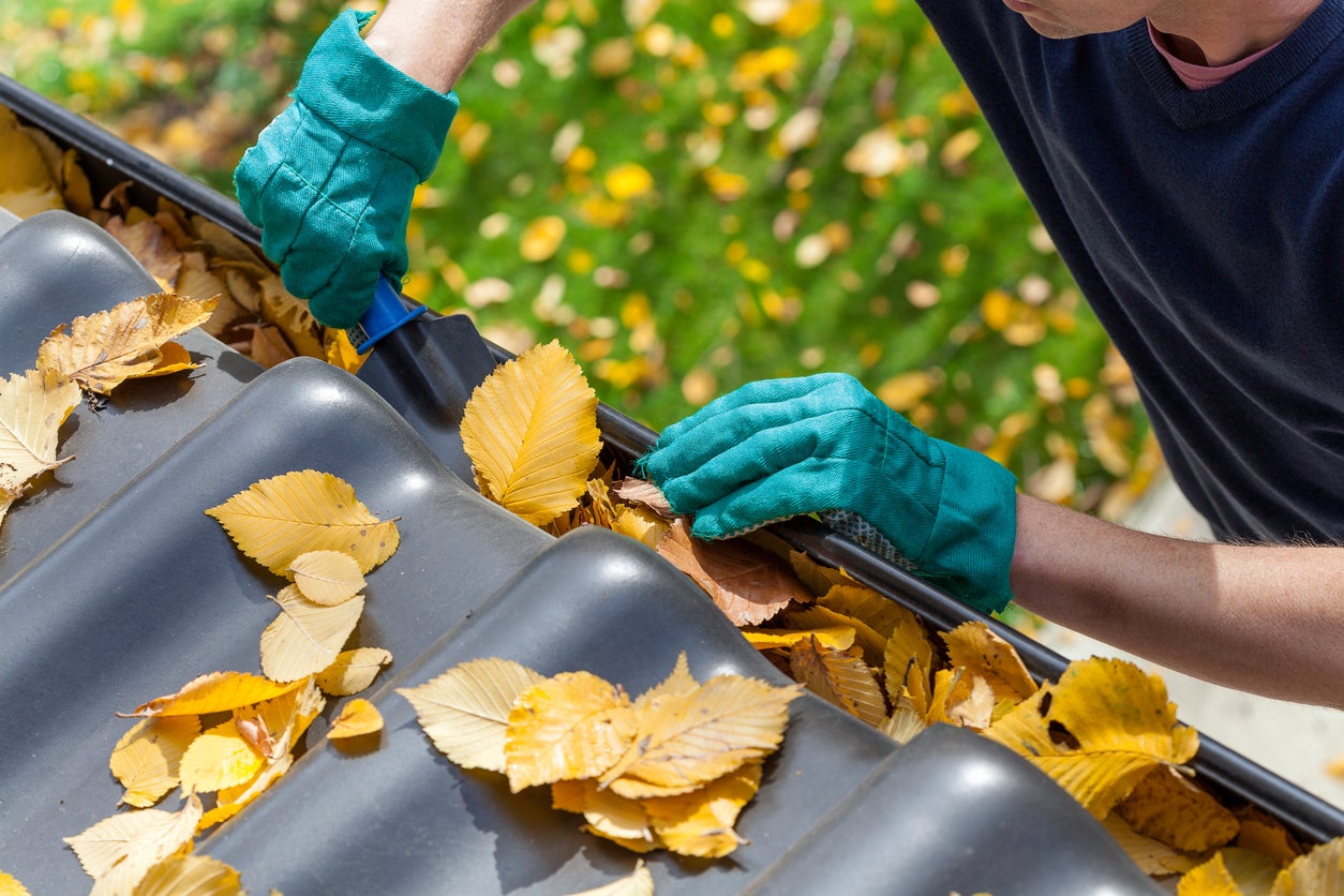 man-cleaning-the-clogging-gutter | expert-for-cleaning-clogging-gutter-service-near-me and gutter maintenance