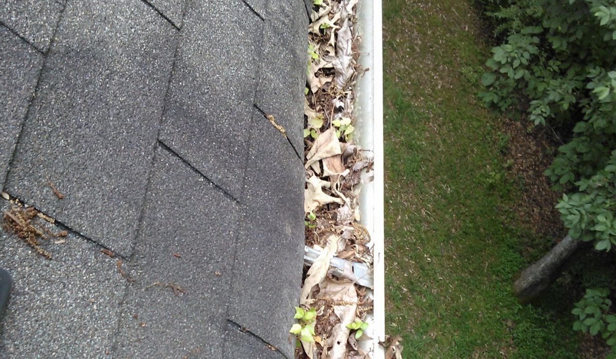 house gutter filled with leaves