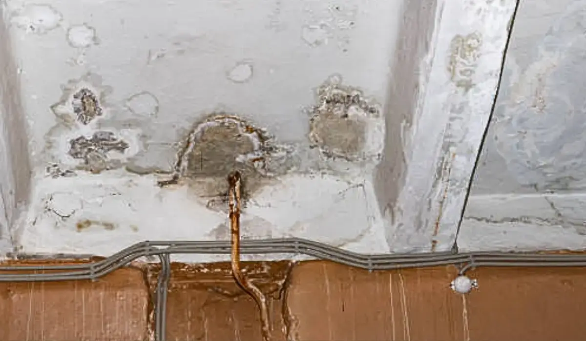 Ceiling with water stains, mold, and a corroded leaking pipe, showing severe plumbing problems and damage.