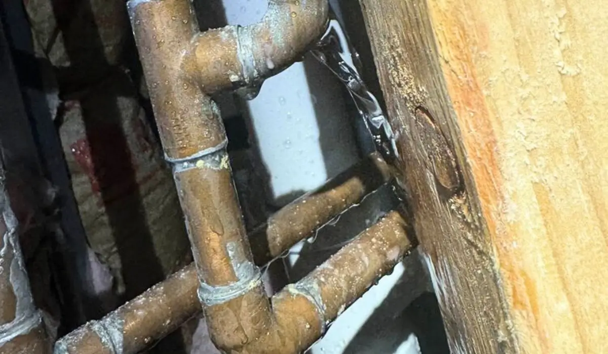 Leaking galvanized pipes inside a Naperville home wall highlighting severe corrosion and urgent replacement needs.
