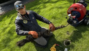 Technician inspecting Sewer Line Cleanout while removing tree roots to restore residential sewer flow safely and efficiently.